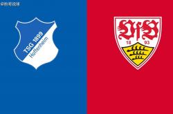 开云体育平台APP-霍芬海姆主场力克斯图加特，稳固中游位置的简单介绍