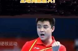 开云平台-比利时乒乓球队翻盘法国乒乓球队，王皓高光表现的简单介绍