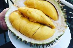 开云体育下载-泰国队碾压马来西亚队，辛杜状态火热