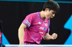 开云体育登录-波兰队翻盘奥地利队，张本智和关键制胜