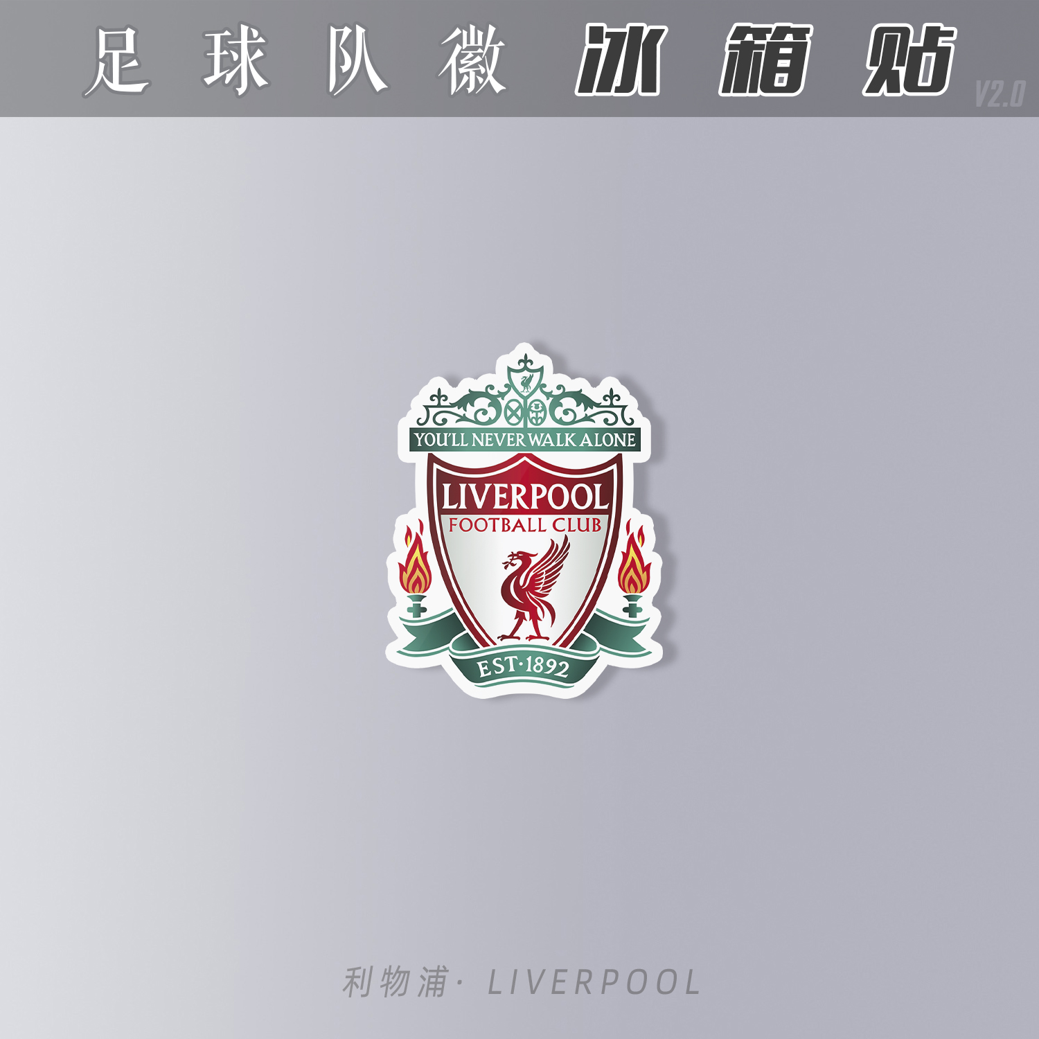 欧洲杯决赛：尤文图斯对阵皇家马德里