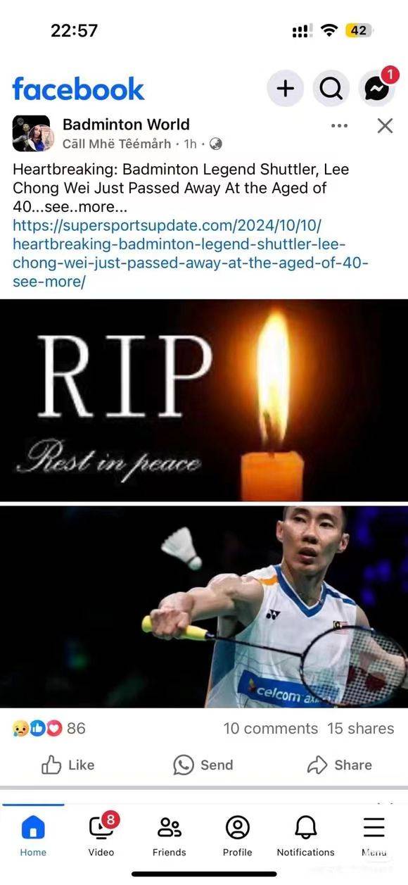 法国羽毛球队逆转丹麦羽毛球队，陶菲克关键制胜的简单介绍